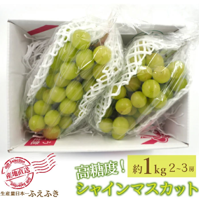Other - 8月下旬出荷 送料無料 山梨県 笛吹市産 シャインマスカット 1Kg 2～3房