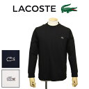 正規取扱店 LACOSTE (ラコステ) TH5822L アウトライン クロック ロングスリーブ Tシャツ 全3色 LC288