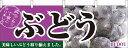 横幕 お祭り 文化祭 縁日 イベント用 ぶどう 横幕 No.2830 【通常在庫品】