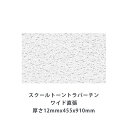 ロックウール吸音材 天井板ダイロートン スクールトーン ワイド直張トラバーチン 厚さ12mmx455x910mm(8枚入)TK5345-1B　消臭 吸ホル機能付き天井吸音材