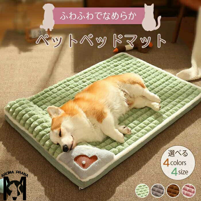 ̵  ٥å դդ  ڥåȥ٥å ä Υ٥å  դ  Ȥ 襤  ǭ 곰...
