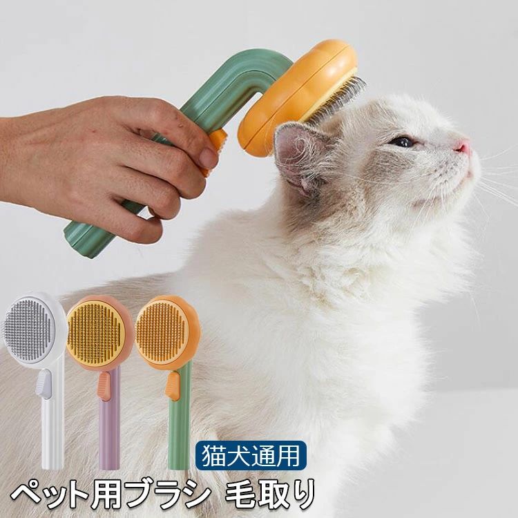 ̵ˡΥڥåȥ Ӵк  ͵ ڥå ڥå  إ ꡼ʡ ֥饷 ǭ 롼ߥ ֥饷 ...