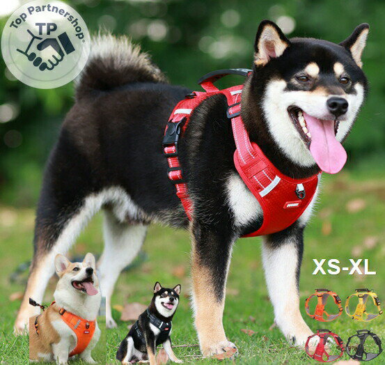 ڴָ5ܥݥȡ۸ ꡼ ϥɥդ ȴʤ ɾ׷ ɥå ڥå Υ꡼ ڥå ϡͥ٥ ڥåȥϡ...