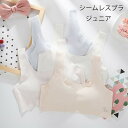 即納 【2枚セット】スポーツブラ ジュニア キッズ 中学生 小学生 女の子 送料無料 シームレス スポブラ ナイトブラ 下着 女子 ファーストブラ ジュニアブラ ハーフトップ ブラジャー ノンワイヤー スポーツブラジャー 肌着 女の子 下着 インナー M L
