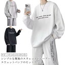 上下 トレーナー 無地 スポーツウェア セットアップ 長袖 プレゼント スウェット ジャージ ロングパンツ スウェット オールシーズン 春秋 長袖パジャマ トッ...