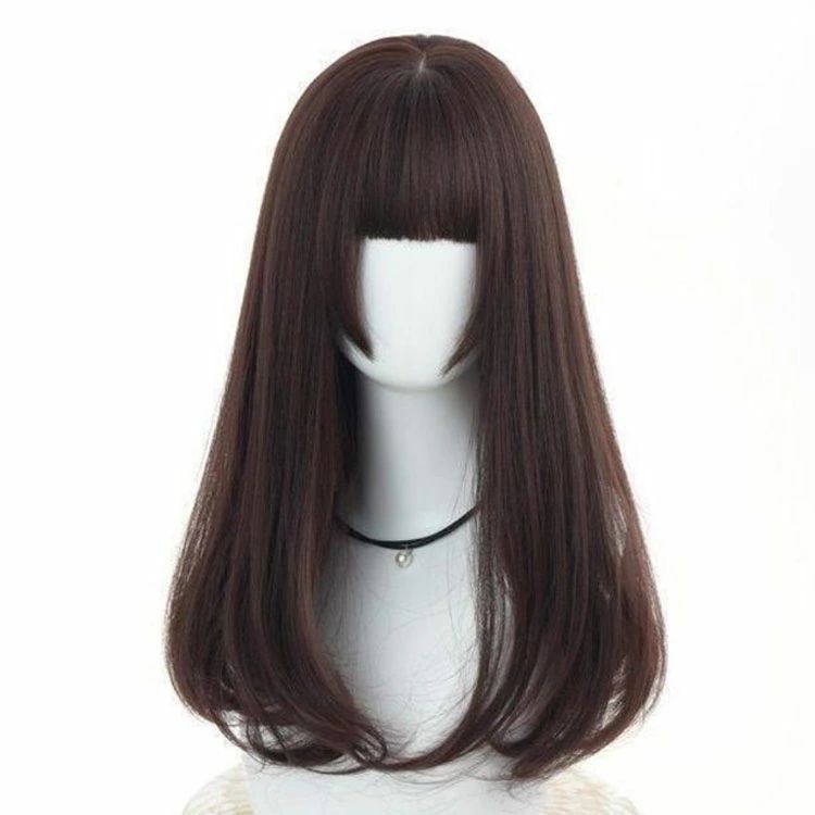 全店2点5%OFF【送料無料】セミロング 耳かけ ウィッグ 大人 ウイッグ ストレート 自然 女性 かつら ロング コスプレ