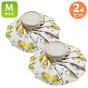 くまのプーさん アイスバッグ Mサイズ お買得 2個セット