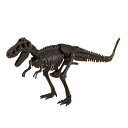 恐竜発掘セット ティラノサウルス 骨格模型 CL-120K 020010 ラッピ