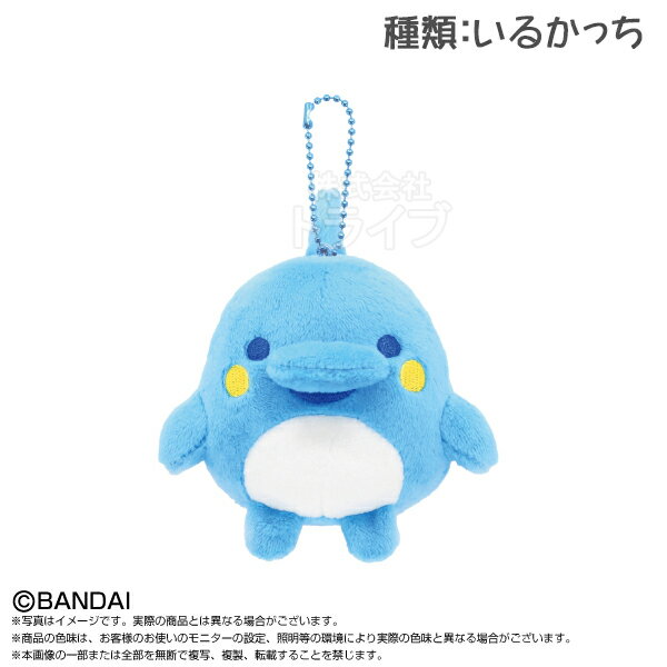 樂天商城 - 【9月中旬入荷予定】いるかっち たまごっち Tamagotchi Paradise マスコット ぬいぐるみ 933266 置配対応