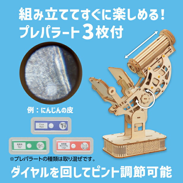 アーテック めざまし時計 フルーツ