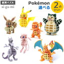 Paper Art si-gu-mi PLUS ポケットモンスター 選べる2点セット メール便対応品