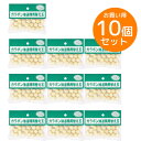 ※お取り寄せ※木工工作キット ガラポン替え玉 20個入 お買得 10個セット ラッピング不可