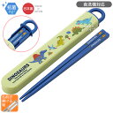 ディノサウルス スライド箸&箸箱セット 抗菌 食洗機対応 ABS2AMAG ネコポス対応品 624322