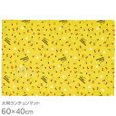 ポケットモンスター ピカチュウ 大判 ランチョンマット 60×40cm LTM1 メール便対応品 646454