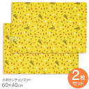 ポケモン 25 大判 ランチョンマット お買得2枚セット メール便対応品