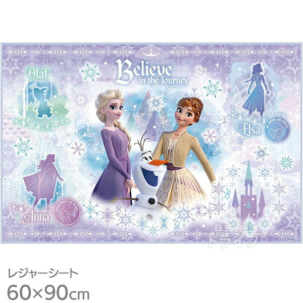 ���ʤ���ν��� 26 �쥸�㡼������ 90��60cm VS1 �ͥ��ݥ��б��� 721595