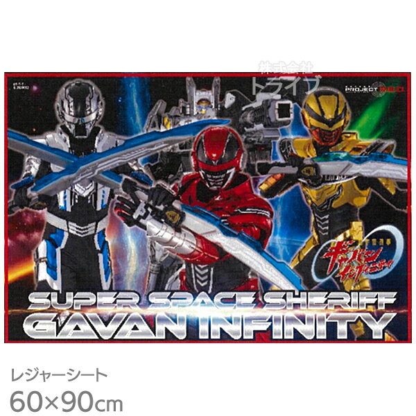 ��3���������ͽ���Ķ���跺������Х� ����ե��˥ƥ� �쥸�㡼������S 90��60cm �ͥ��ݥ��б��� 051932