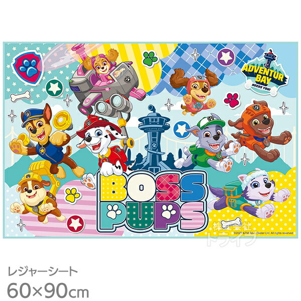 �ѥ��ѥȥ����� 26 �쥸�㡼������ 90��60cm VS1 �ͥ��ݥ��б��� 723155