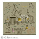 ミニタオル ハリーポッター ハグリッドの小屋 メール便対応品 889277