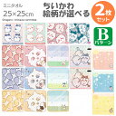 ちいかわ 選べる2枚セット【B】 タオルハンカチ25cm ネコポス対応品
