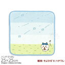 タオルハンカチ 25cm ちいかわ そよかぜ B ハチワレ メール便対応品 393711