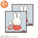 ミニ タオル お買得2枚セット ミッフィー ミッフィーとあそぼう ネコポス対応品
