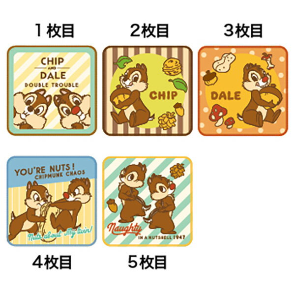 [特価50％OFF]ミニタオル5絵柄組 チップ＆デール わくわくペア ネコポス対応品 899580