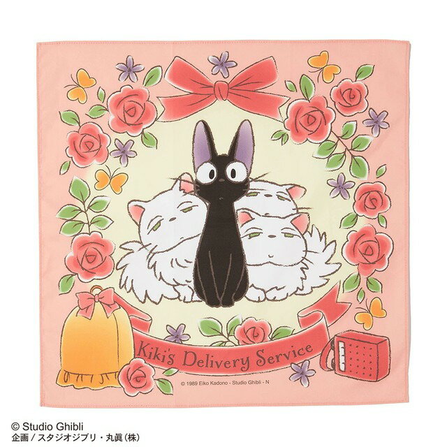 ���������� ���������� �ե������� �ͥ��ݥ��б��� 769999