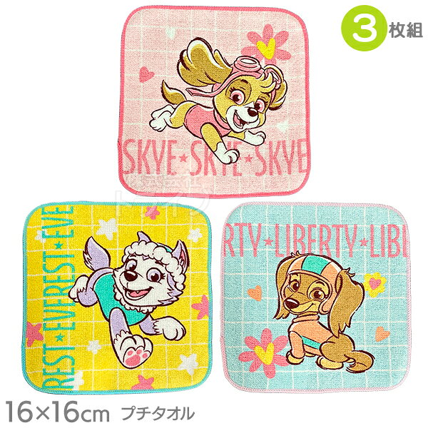 Hand Towel, Handkerchief - プチタオル3絵柄組 ミニタオル パウパトロール パウガーリー PP443600 ネコポス対応品 089605