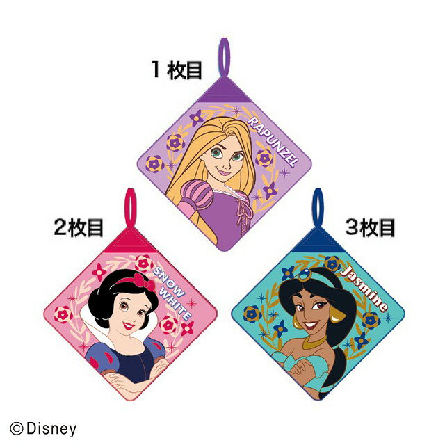 ループ付きハンドタオル 3絵柄組 ディズニー プリンセス ストロングフラワーリーフ ネコポス対応品 431..