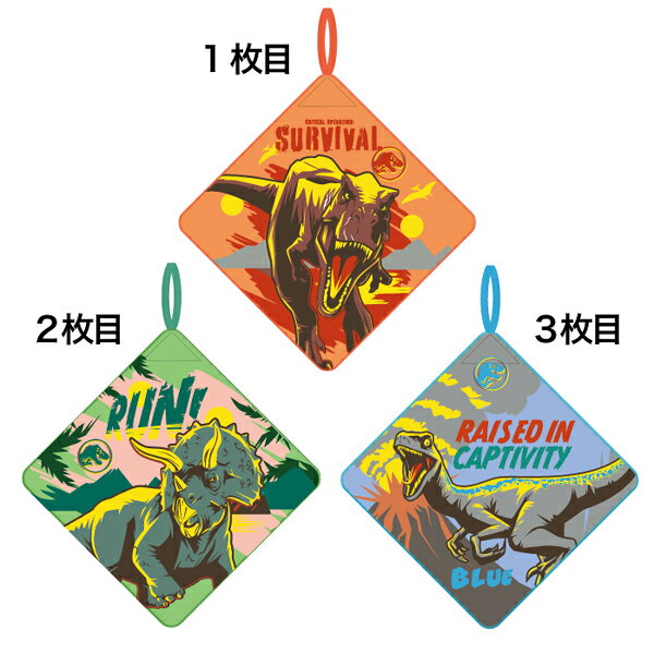 ※こちらの商品は、「ご予約商品」です。 「即納商品(発送目安1-3日以内)」と同時にご購入いただいた場合、 「ご予約商品」の入荷次第、おまとめしての発送となります。※入荷予定日はあくまで目安となり、大幅に前後する場合がございます。 上記2点につきまして、予めご了承下さいますようお願い申し上げます。ジュラシックワールドのループ付きハンドタオルです。保育園や幼稚園などで大活躍！タオル上部には名前とクラスを記入できるタグがついています。肌にやさしい綿100％素材です。洗い替えに嬉しい3枚組です♪サイズ約28×28cm仕様〔ループタオル 3P〕綿100％制菌加工シリーズジュラシックワールドメーカー丸眞 JAN4550681046294キーワード子ども 乳児 幼児 ベビー キッズ タオル 入園 入学 手洗い 幼稚園 保育園 小学校 タオル お手拭き 映画 ジュラシックパーク 恐竜 ダイナソー ティラノサウルス T-REX トリケラトプス ヴェロキラプトルメーカー希望小売価格はメーカーカタログに基づいて掲載しています