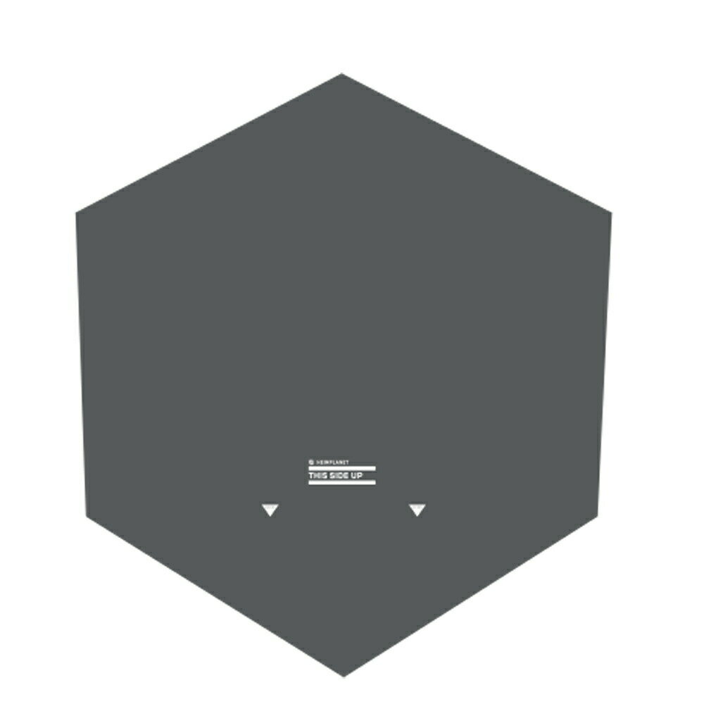 DOD(ディーオーディー) ワンポールテント&キノコテント&ヤドカリテント用マット 厚さ6mm