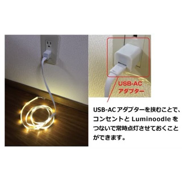 【楽天スーパーセールはポイント10倍】Luminoodle ルミヌードル Luminoodle 1.5m 国内正規品 LED ライト ロープ型 防水 USB キャンプ アウトドア 野営 PP0001