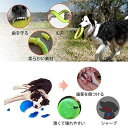 LaRooテディ犬デンタル玩具、小型犬用噛おもちゃ耐久性、ラウンドフリスビー18 cmストレス解消（中小犬）のペットの知能訓練用、浮遊訓練おもちゃ。 (グリーン) 3