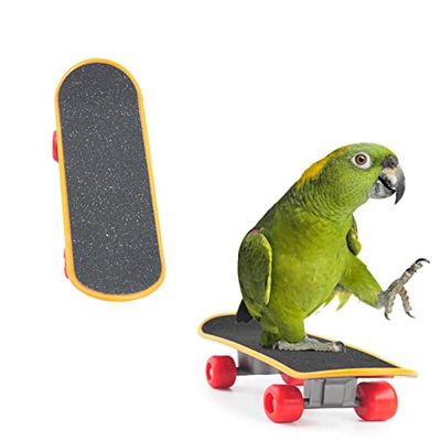 Doyime 鳥玩具 インコ ミニ スケートボード ペット用品 知育教育 オウム 鳥 立て 訓練 ストレス解消 おもちゃ ブラック