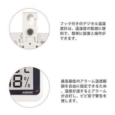 GOODCHI �����ٷ� ����� ���ٷ� ���ٷ� ����ѥ��� �ǥ����� �����ٷ� �եå��դ� ξ���� ��ưʪ ���鼼 ������ �����դ� (2)