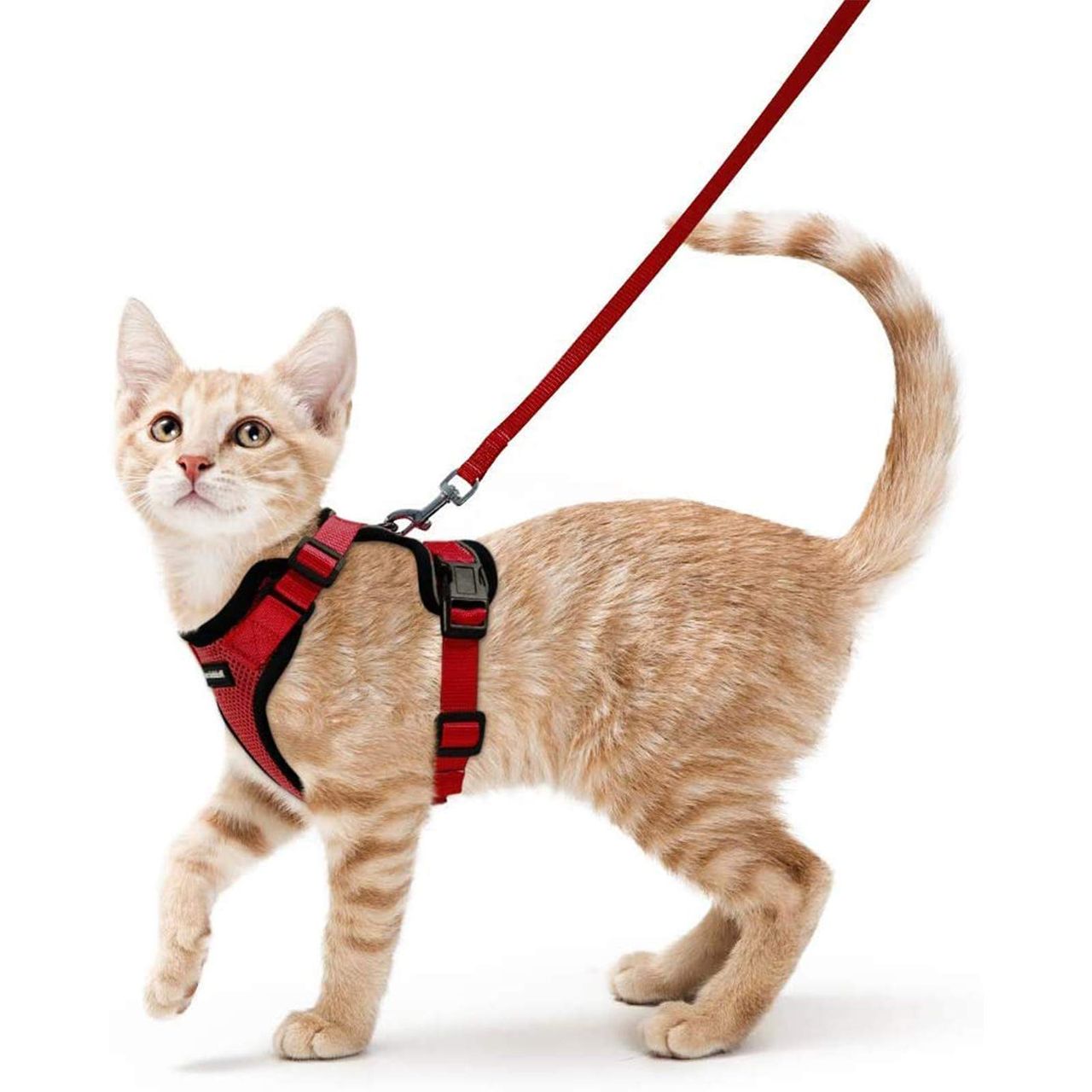 Rabbitgoo 猫 ハーネス リード セット 抜けにくい ソフト胸あて 軽量 超小型犬 小型犬 猫 散歩 用 ハーネス 胴輪 足を上げず装着完成 サイズ調節可 夜反射 通気メッシュ 咳込み防止 猫 散歩 紐 ひも はーねす りーど（レッド XS）
