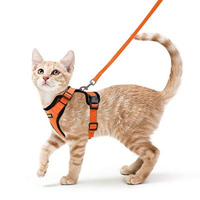 Rabbitgoo 猫 ハーネス リード セット 抜けない 猫用ハーネス ソフト胸あて 軽量 足を上げず装着完成 サイズ調節可 夜反射 通気メッシュ 咳込み防止 散歩 犬用ハーネス 猫の胴輪 くびわ ベスト パグ ネコねこ子猫 散歩ひも 猫はーねす胴輪 猫 ハーネス りーど（オレンジ