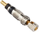 RA:パナレーサー(Panaracer) 用品 仏式2ピースバルブ用コア 2個セット TF-CORE-2