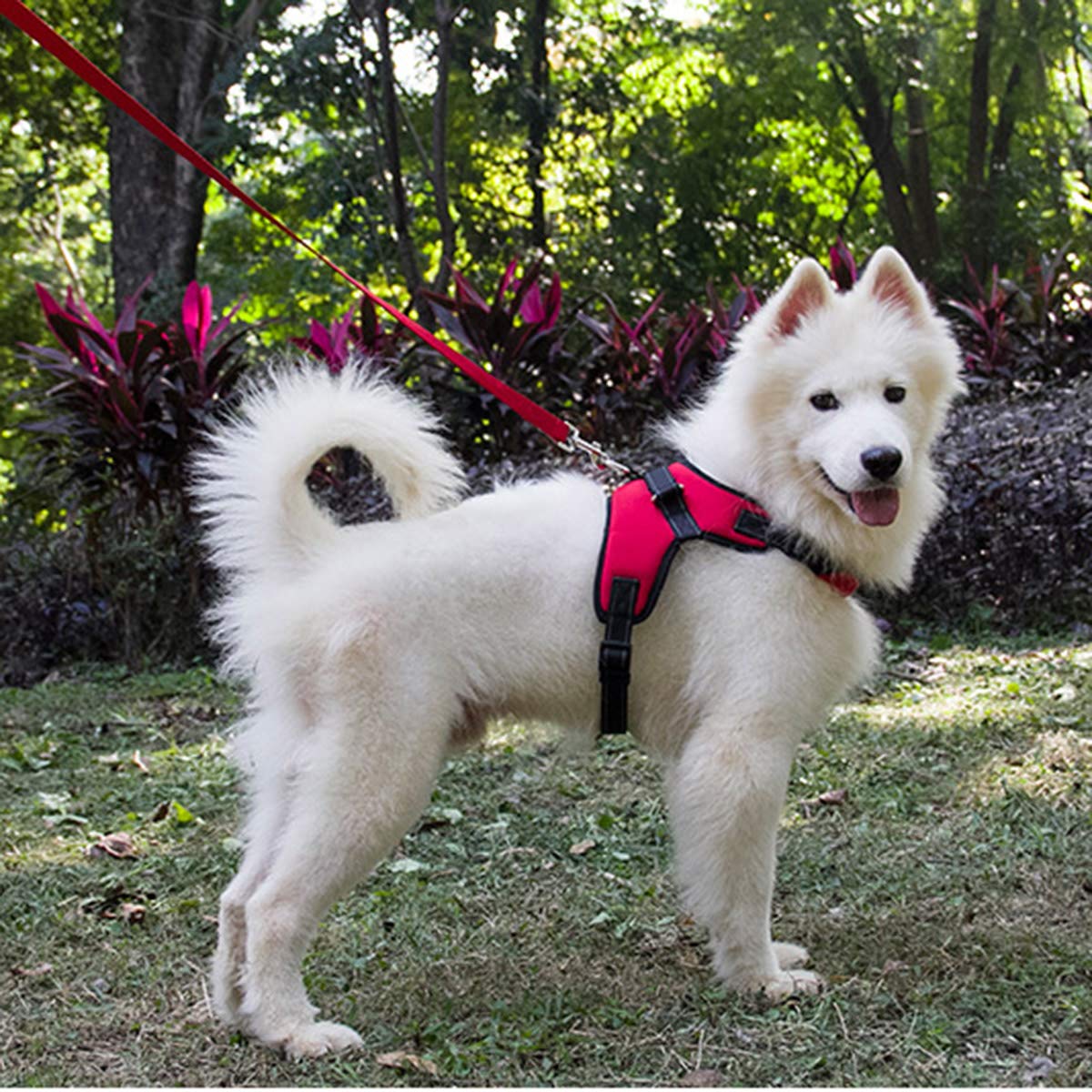 犬用ハーネス＆リーダーセット 犬胴輪 可愛い メッシュ ソフト 束縛感なし 通気性 調節可能 引っ張り防止 小型犬 中型犬 散歩/訓練/お出掛 (Lサイズ (x 1), レッド)