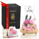 プリザーブドフラワー 誕生日プレゼント 女性 母の日 プレゼント人気 お花 ギフト 枯れない花 バラ 結婚記念日 退職祝い 敬老の日 2輪の薔薇 エンジェル ガラスドーム プレミアムギフトボックス付き ピンク