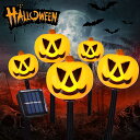 ガーデンライト ハロウィーン ソーラーライト ハロウィン 飾り ライト カボチャ 装飾 5個セット 太陽光発電 自動点灯 消灯 防水 室内 屋外 イベント 雰囲気作り ウォームホワイト (カボチャ)