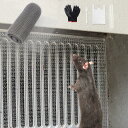 【ネズミをシャットアウト/日本企画】 ステンレスソフトネット ネズミ駆除 網 丸めて詰める 被せて使用 通気口 雨どいの隙間 排水口 壁の穴 配管 排水管 換気口 排気口 通風口 すき間 ナメクジ こうもり ヘビ ネズミ 侵入防止 金網 日本語ガイド カタツムリ 鳥 害虫対策