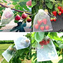Tcoabl 防虫ネット 20x15cm 果樹 果物保護ネット 鳥虫害対策 防鳥ネット 虫除けネット 野菜保護ネット 防虫網 農業ネット 園芸用ネット 通気性 水 光透過性 20*15cm 50枚 透明