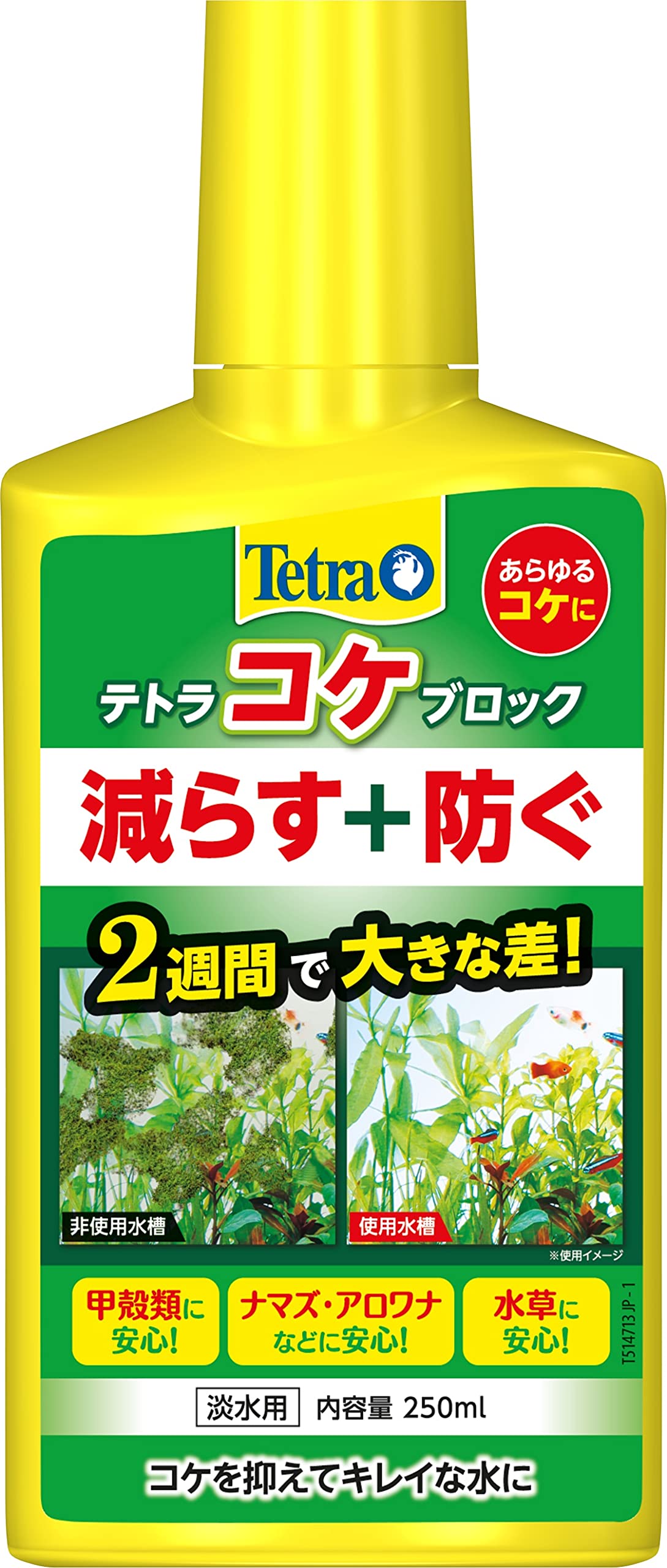 Rakuten - テトラ (Tetra) コケブロック 250ml コケ抑制 既に生えているコケ対策 これから生えるコケの予防 甲殻類も安心 ナマズ アロワナなどにも安心 水草に安心