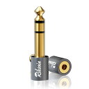 3.5mm ⇒ 6.35mm 変換 プラグ RIKSOIN (2個セット) ステレオミニプラグ (メス) ⇒ ステレオ標準プラグ (オス) イヤホンジャック 変...