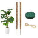 LIKENNY 園芸 植物支柱 2本セット 約60CM 観葉植物モンステラ ガーデニング支柱 水分 養分維持 サポート 園芸用 農業用 (麻縄/マジックテープ付...