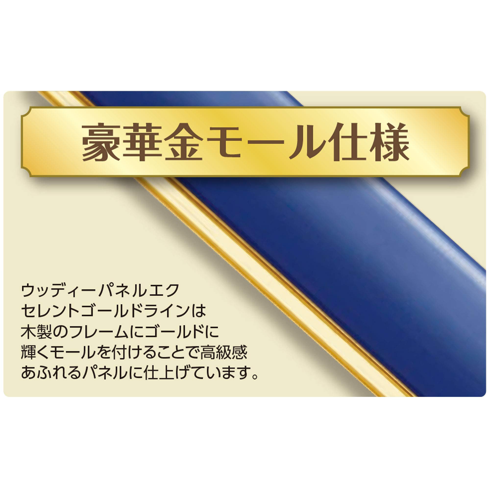 エポック社 【日本製】 木製 パズルフレーム ウッディーパネルエクセレント ゴールドライン 金モール仕様 シャインブラック (50×75cm) (パネルNo.10) 掛ヒモ 点数券付き セルカバーUVカット仕様 パズル Frame 額縁