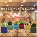 植木鉢 6個入り 多肉植物ポット プランター 陶器鉢 盆栽 窓飾り インテリア ミニ植物適用 2号サイズ 6.35*6.35*6.35cm