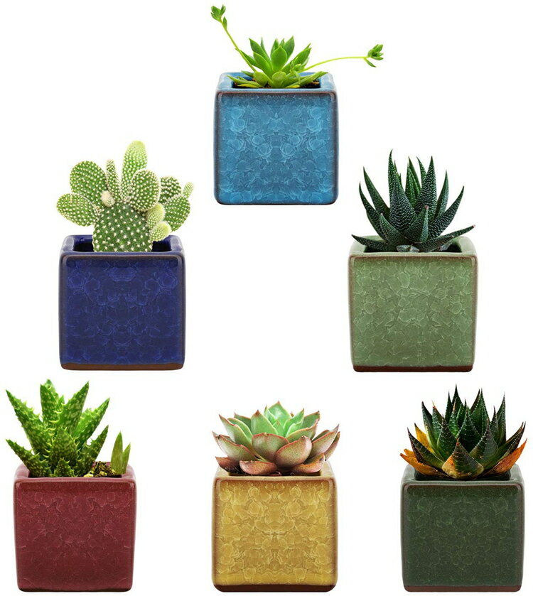 楽天市場】植木鉢 2号(種類(植木鉢)盆栽鉢)の通販 楽天市場】植木鉢 2号(種類(植木鉢)盆栽鉢)の通販